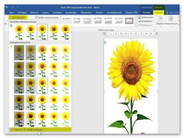Bildbearbeitung in Word Bildbearbeitung in Word