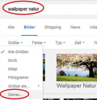 Google Bildersuche definieren