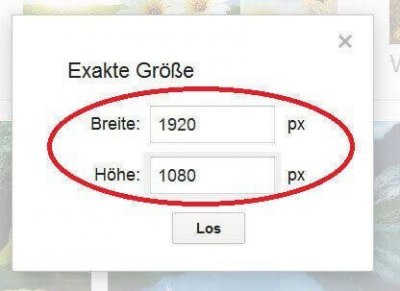 Exakte Bildergröße bei Google suchen