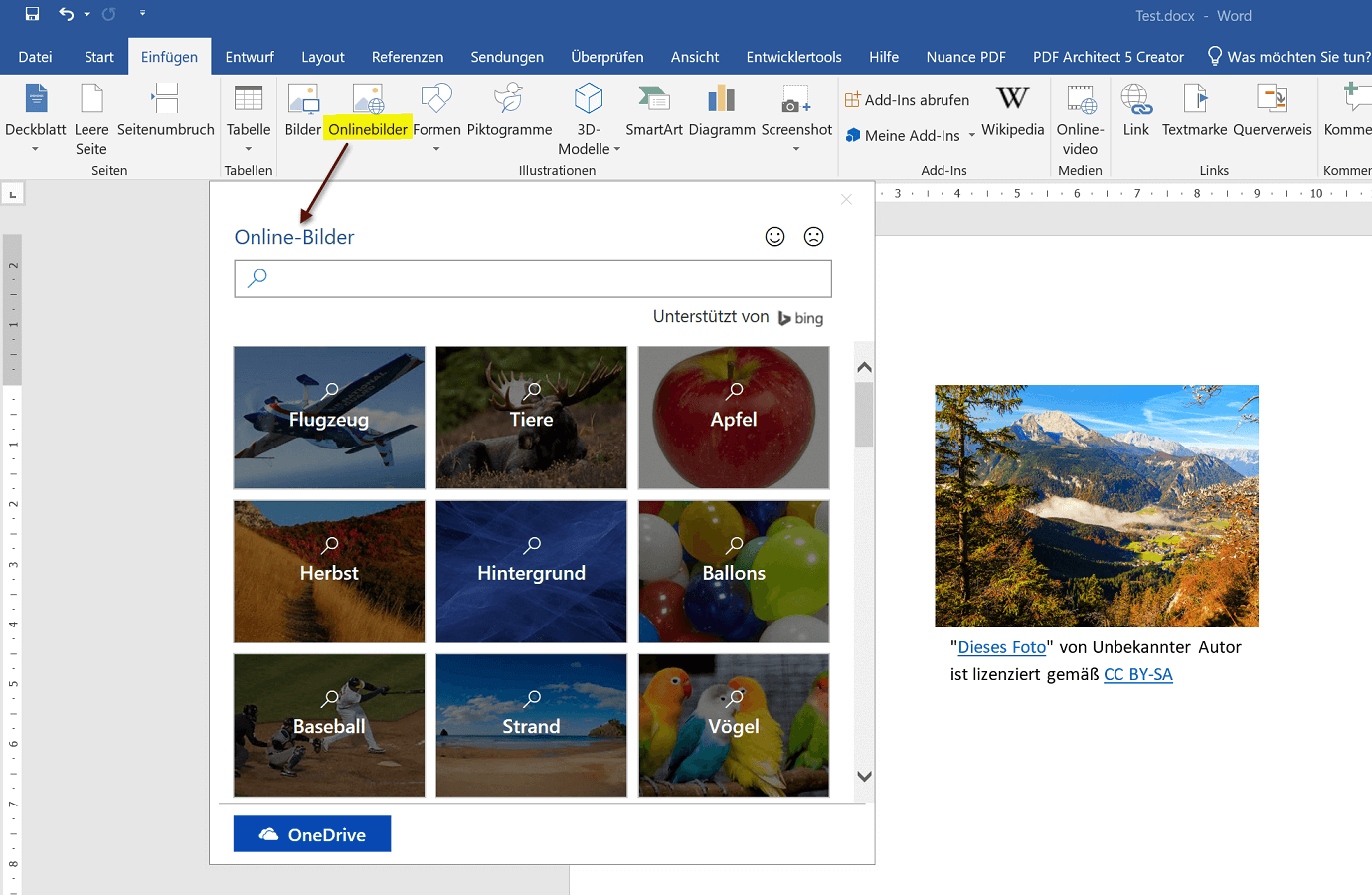 Word 2019 Onlinebilder einfügen