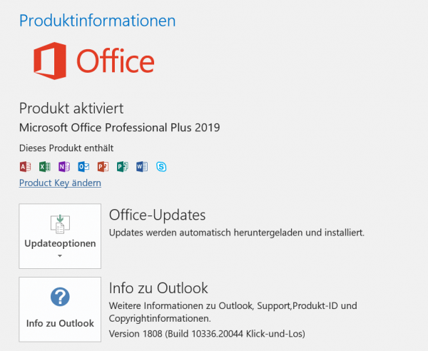 Office 2019 Produktinfo