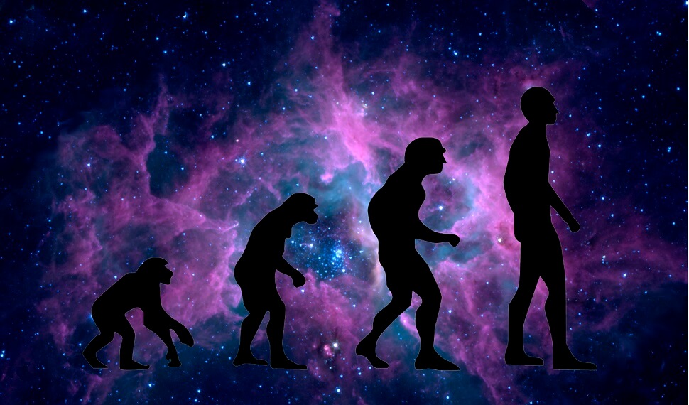 Vom Einmaleins zur künstlichen Intelligenz Vom Einmaleins zur künstlichen Intelligenz